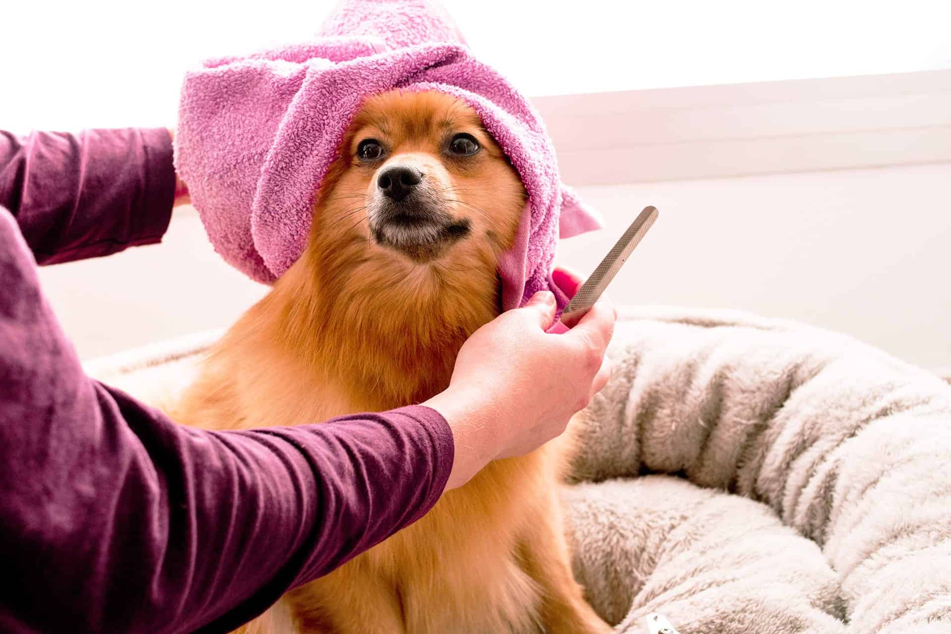 hayffield l zvdzw21p08y4 unsplash