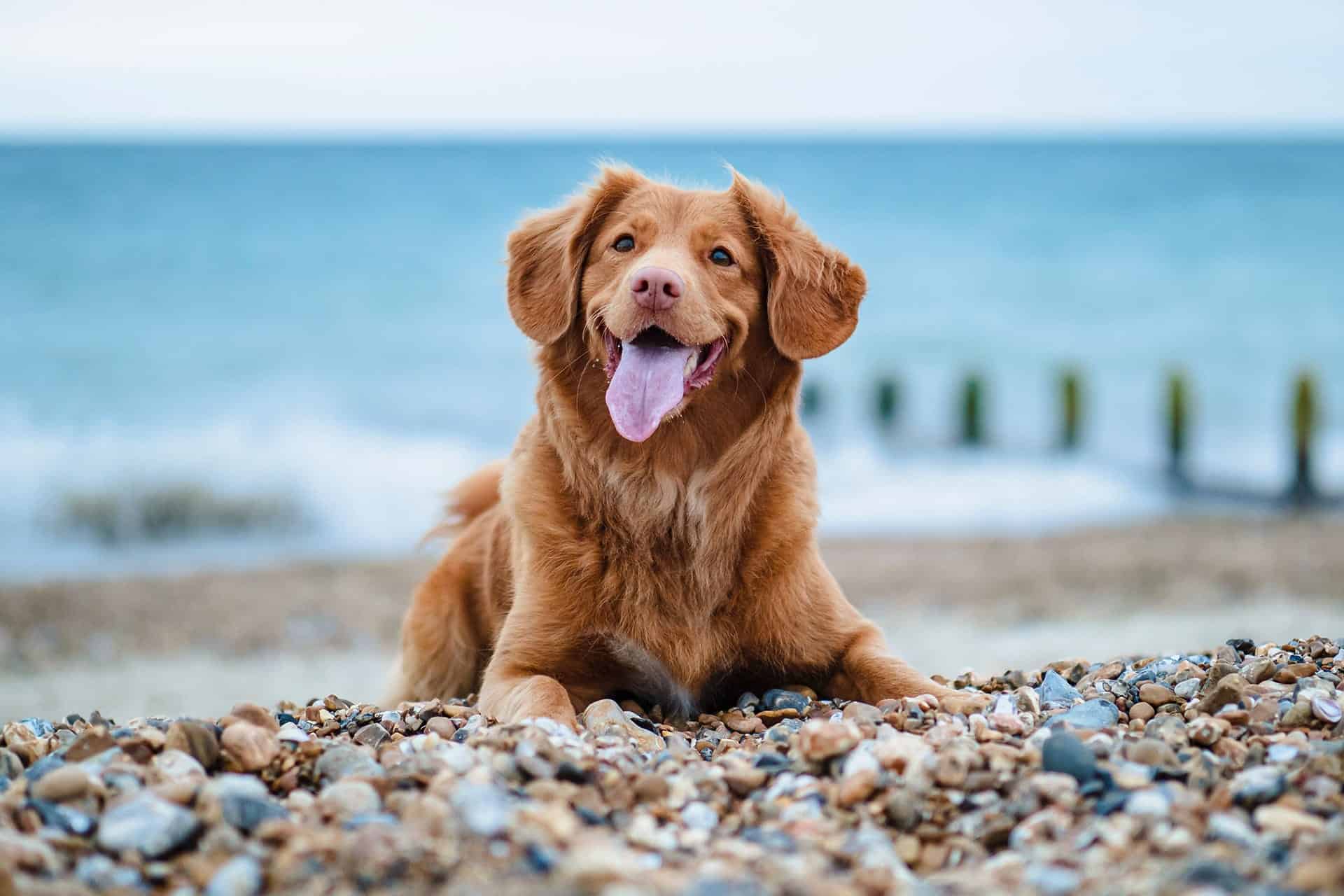 jamie street m4bkrrprvp10 unsplash