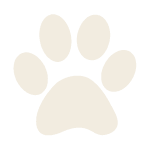 简宠 Paw 2 150x150