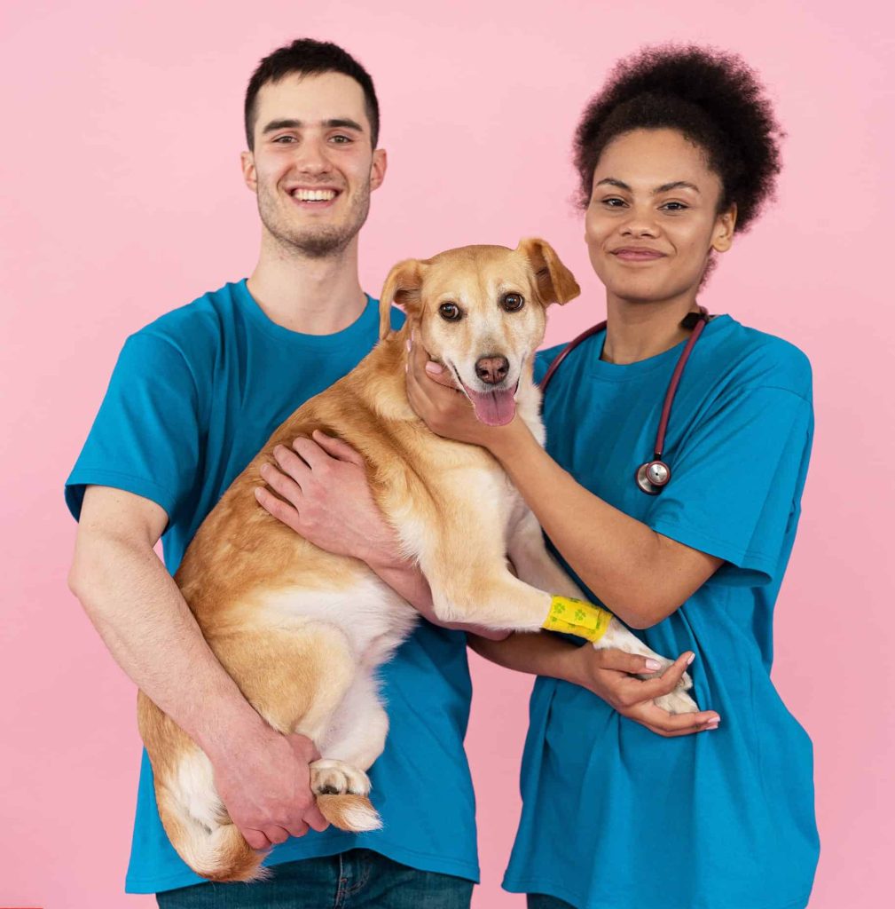 简宠 Pexels Mikhail Nilov 74744266 1009x1024