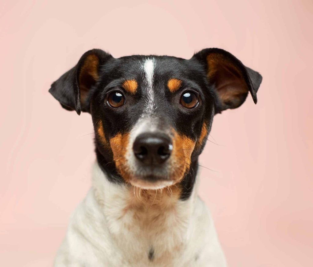 关于简宠 Victor Grabarczyk N04FIfHhv K Unsplash 1024x873