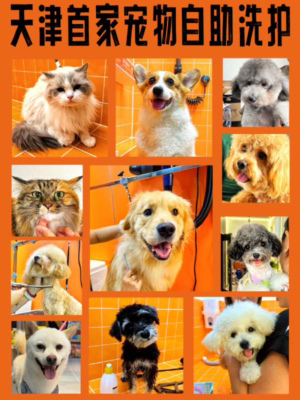 a33248b3ae7611b67f973e9db3abc585